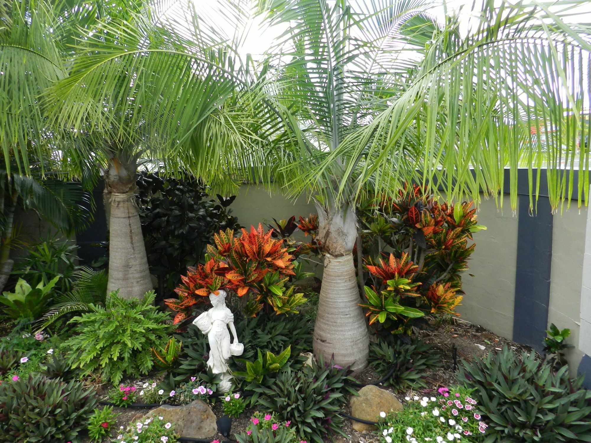 Golden Palms Motor Inn Bundaberg Esterno foto